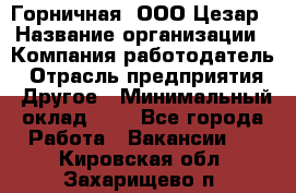 Горничная. ООО Цезар › Название организации ­ Компания-работодатель › Отрасль предприятия ­ Другое › Минимальный оклад ­ 1 - Все города Работа » Вакансии   . Кировская обл.,Захарищево п.